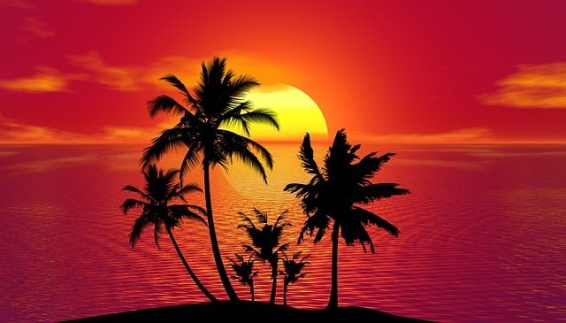 DJ Mix - Tropical Summer Mixtape