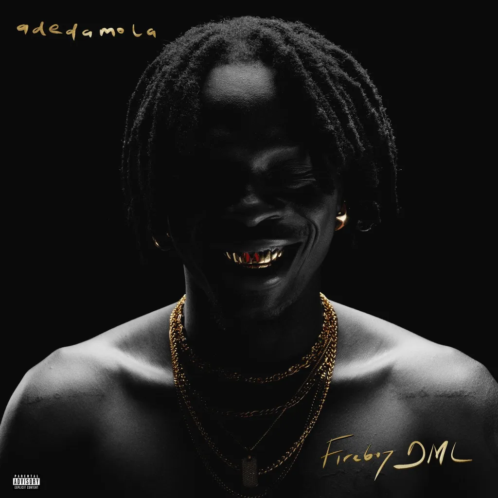 Fireboy DML – Change Your Life