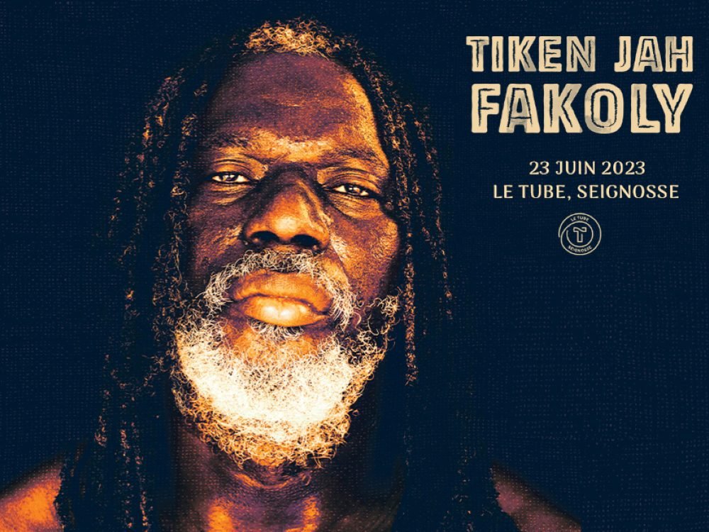 Best of Tiken Jah Fakoly Songs DJ Mix Mixtape
